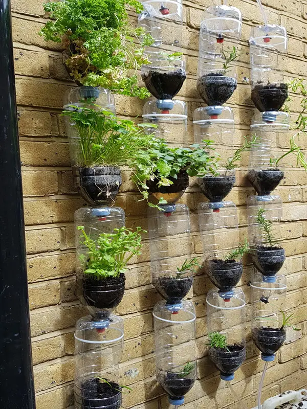Greenwich & Blackheath Garden Irrigation Systems