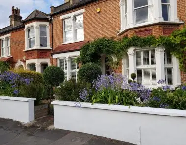 Front Garden Landscaping with Structural Plants