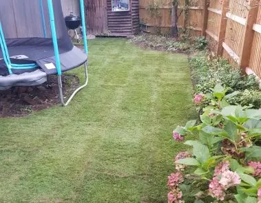 Turf installation Balckheath