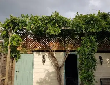Trellis-Garage-Frame