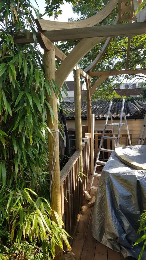 Unique curved pergola