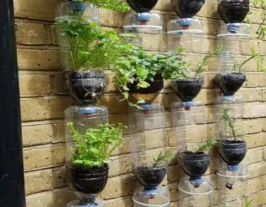 Greenwich & Blackheath Garden Irrigation Systems